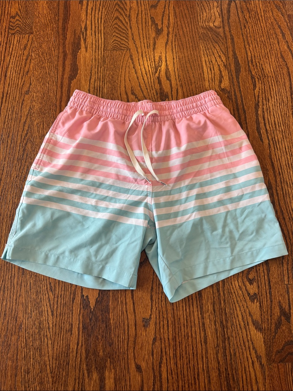 Men's Chubbies swimsuit- size small